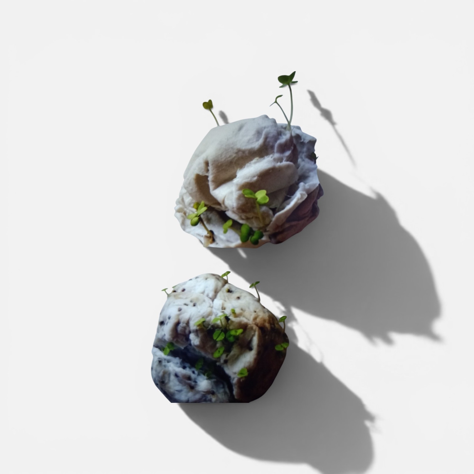 Handmade paper seed ball
